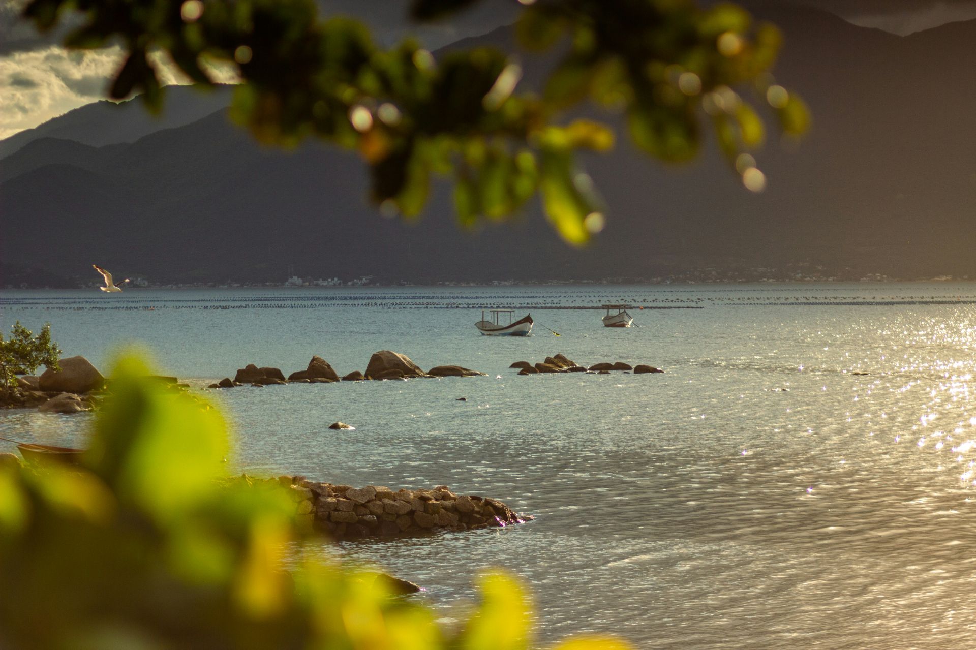 FLORIANÓPOLIS
