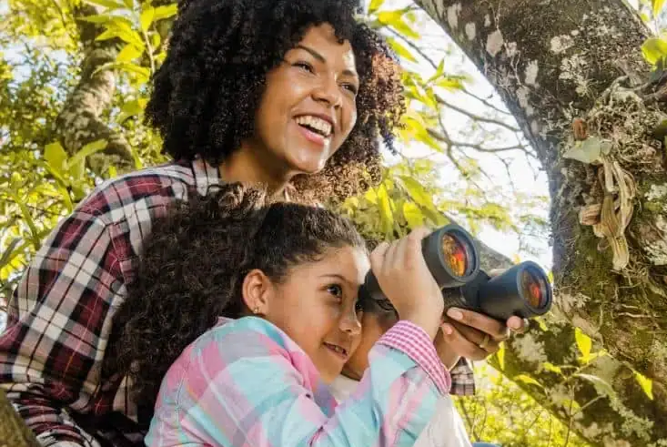Hotéis para o Feriado de Consciência Negra