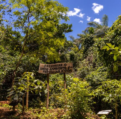 MONTES CLAROS