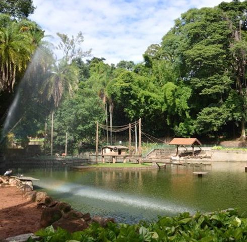 Turismo e Lazer | Golden Park Cambuí | Hotéis Nacional Inn