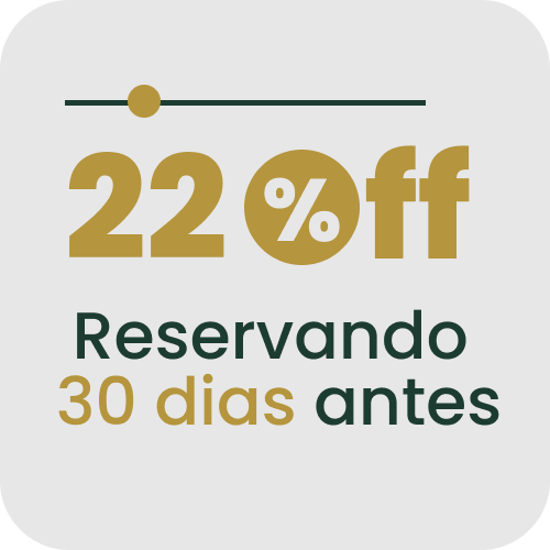 Texto alternativo