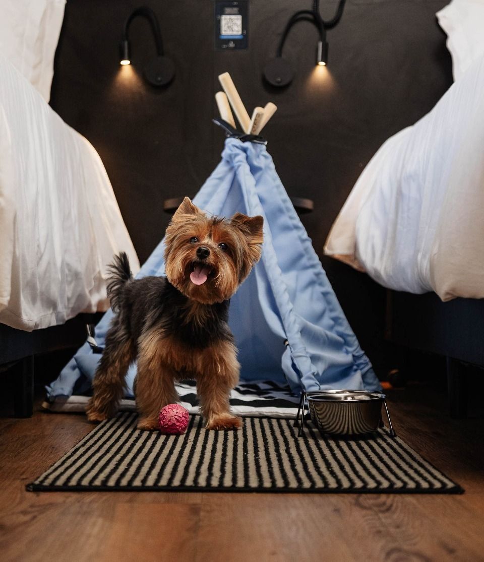 Pet Friendly
